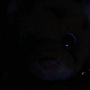 Meet your Posher, Tina